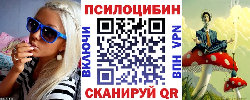 купить наркотики цена  Вологда  Галлюциногенные грибы прущие грибы 